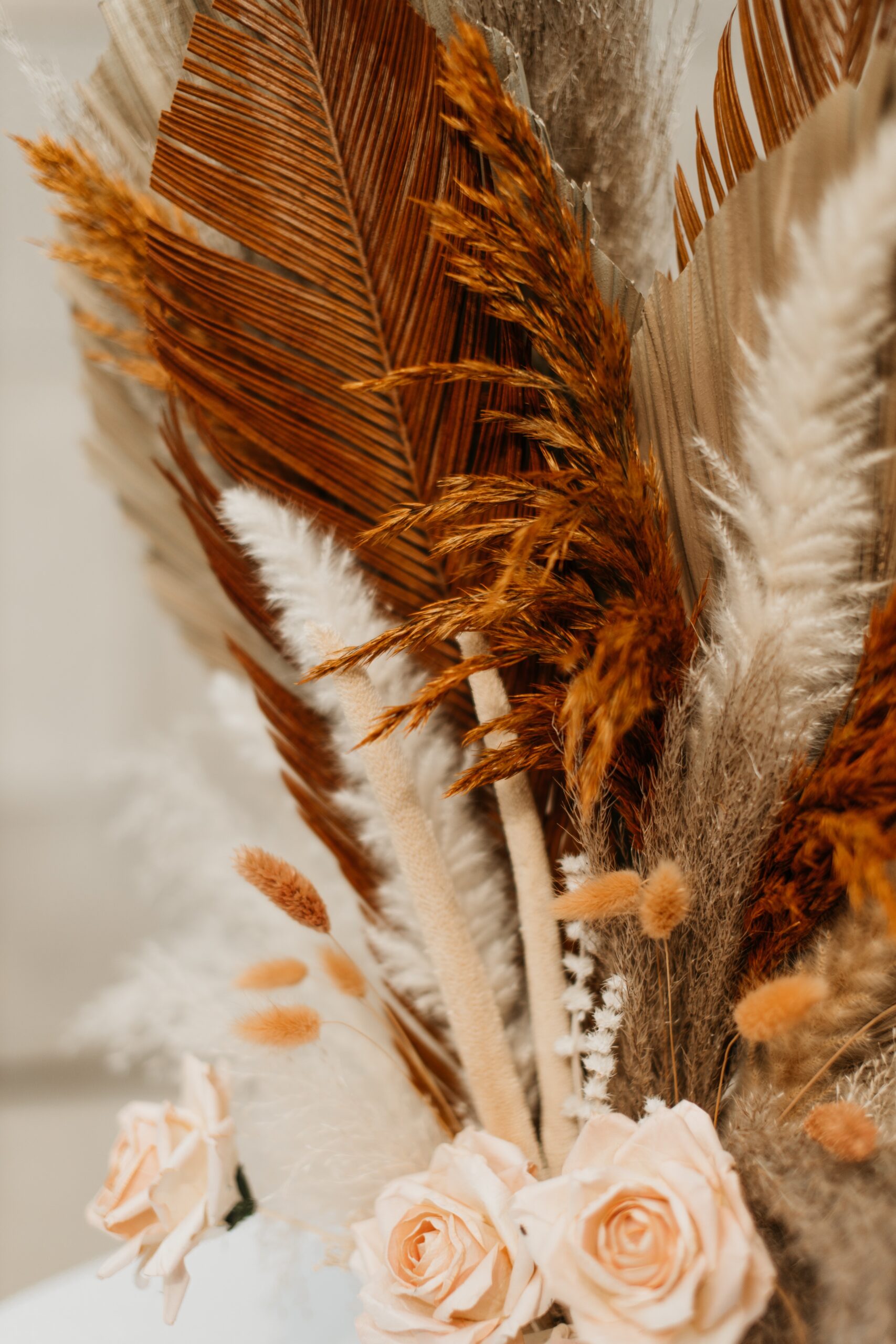 redd-f-7Uf0eg65SVQ-unsplash