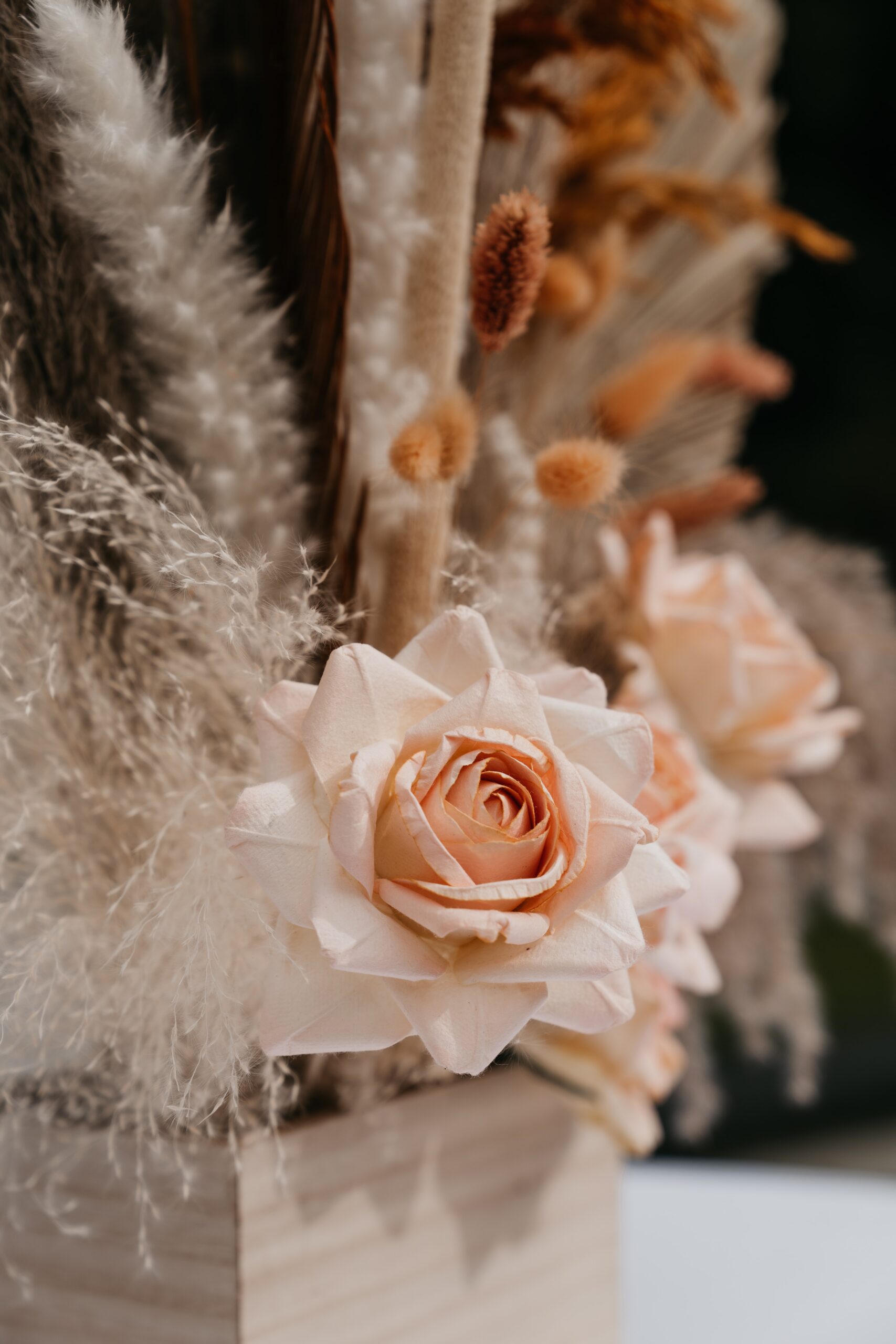 redd-f-kaoQ4XmyWgw-unsplash